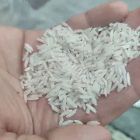 برنج هاشمی سورتیک زد