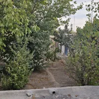 اجاره خانه|اجارهٔ خانه و ویلا|فولادشهر, نوگوران|دیوار