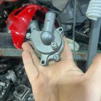 بنلی هایپرو پیشرو بلنتا هیوسانگ مگلی دایلیم دینو