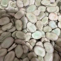 باقله