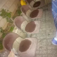 صندلی انتظار