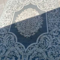 فرش|فرش|قم, شاد قلی|دیوار