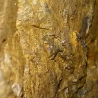 سنگ طلا کیلوئی ۵۰۰ تومان