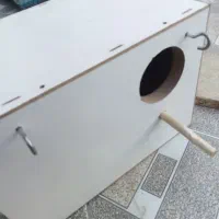 لانه پرنده|لوازم جانبی حیوانات|دوگنبدان, |دیوار