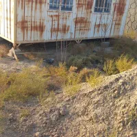 کانکس