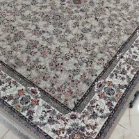 اولین نمایندگی در ایلام