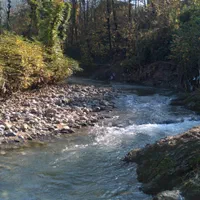 ویلا جنگلی گیل دخت دربست ویو ابدی|اجارهٔ کوتاهمدت ویلا و باغ|رشت, رشتیان|دیوار