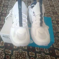 کتونی اوجینال