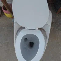 فرنگی گلسار