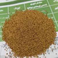 برداشت تناژ بالا با بذر یونجه موسوی|خدمات باغبانی و درختکاری|یاسوج, |دیوار