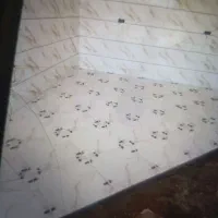 کارکاشی کاری دارم