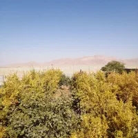 باغ فروشی شهرضا