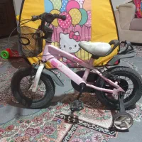 دوچرخه عدد دوچرخه ۱۲ دخترانه صورتی|دوچرخه، اسکیت، اسکوتر|کرج, اسدآباد|دیوار