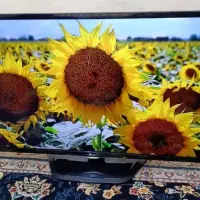 ال ای دی ۴۲ الجی اصل کره