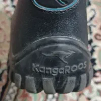 کفش|کیف، کفش، کمربند|کوهدشت, |دیوار