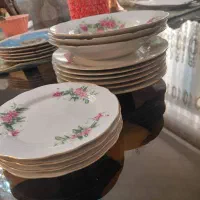 چینی گل سرخی