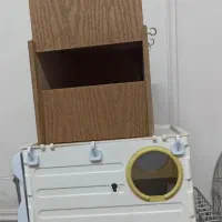 عروس هلندی کاملا خانگی صحیح وسالم|پرنده|ری, علایین|دیوار