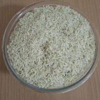 برنج میانه