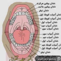 راهنمایی دندان