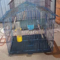 با سلام دو عدد قفس بزرگ تمیز  فروش می‌رسد