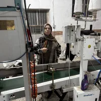 برنج هاشمی طارم هاشمی  دم‌سیاه فجر  شمال بی واسطه