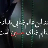 مداح اهل بیت علیهم السلام هستم( مجلس بانوان)