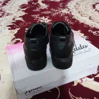 کفش|کیف، کفش، کمربند|مرند, |دیوار