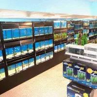 استخدام نیروی مرد جوان ( دارای گواهی نامه موتور )