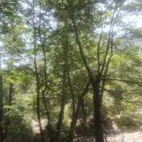 انجام هر گونه کار در منزل