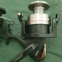 لنسر ماهیگیری|ماهیگیری|گنبد کاووس, |دیوار