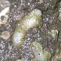 شهاب سنگ الیوین جواهر الماس      diamond meteorite|جواهرات|تهران, جردن|دیوار