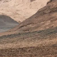 راهنمایی علی نویین