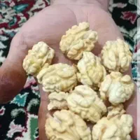 گردو تازه دماوندباپوست و بدون پوست سبز