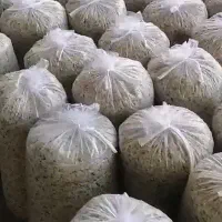 تفاله چغندر