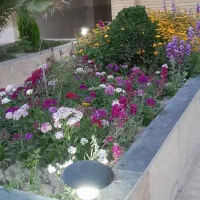 ساختمان-4طبقه-درب-ساخت-4واحد-110متری-صفرارغوانیه