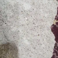 سنگ طلا