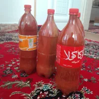 رب خانگی