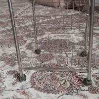 جا سیب زمینی و پیاز
