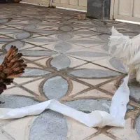 مرغ برهما ولهستانی