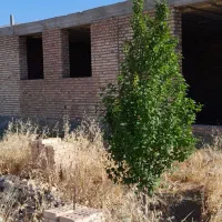 قطعه-زمین-باغ-سند-ششدانگ