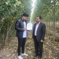 باغ صنوبر، کارخانه پول‌سازی شما در آینده نزدیک|خدمات باغبانی و درختکاری|اردبیل, |دیوار