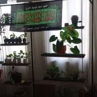 استند گل فلزی بزرگ با نور مخفی و طبقات چوبی