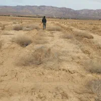 زمین کشاورزی ۷۰۰متر ۲۵۰میلیون معاوضه هم می‌شود