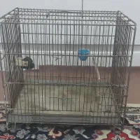 قفس سهره بالوازم و سهره قناری
