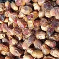 قصب ضایعاتی کیلو۳۰هزارتومان