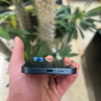 ایفون ۱۳ (درحد آکبند)|موبایل|فردیس, منظریه|دیوار