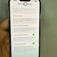 apple 13promax 256g zaa