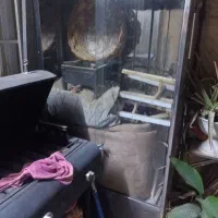 دستگاه مرغ بریان