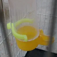 فقس و تمامی لوازم نگه داری طوطی سانان