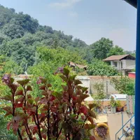 سوییت کلبه جنگلی سنتی|اجارهٔ کوتاه‌مدت ویلا و باغ|علی‌آباد کتول, |دیوار